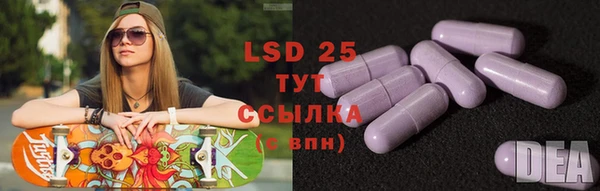 стаф Абаза