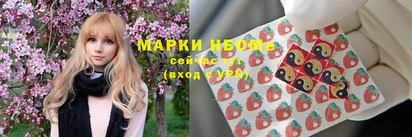 стаф Абаза