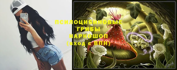 молекула духа Вуктыл