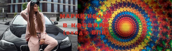 стаф Абаза