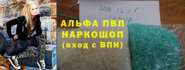 сатива Абинск