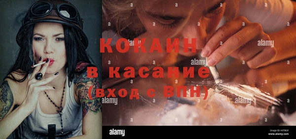 сатива Абинск