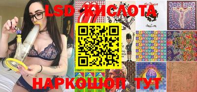 альфа пвп Новодвинск