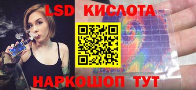 альфа пвп Новодвинск