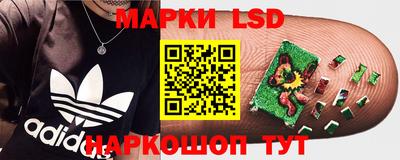 альфа пвп Новодвинск