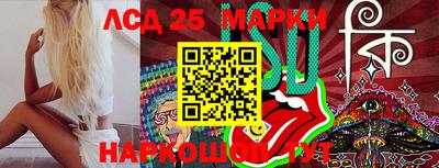 альфа пвп Новодвинск