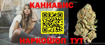 альфа пвп Новодвинск