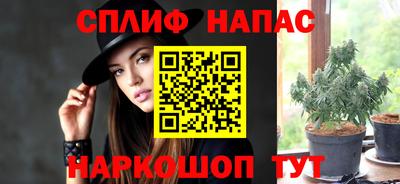 альфа пвп Новодвинск