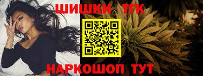 альфа пвп Новодвинск