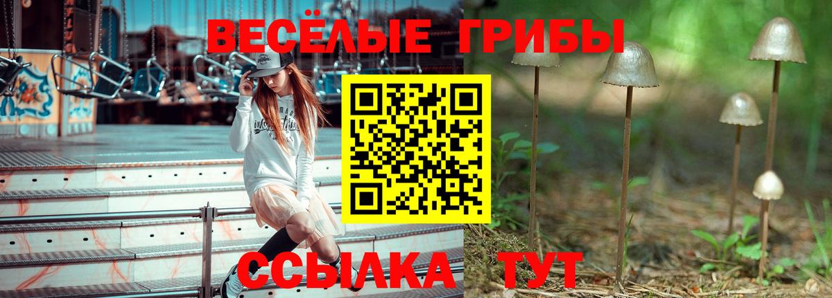 продажа наркотиков  Вход с VPN  Дятьково  Псилоцибиновые грибы Cubensis 