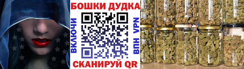 Канабис план Дятьково